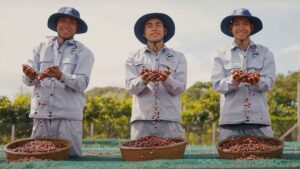 TVC De Măng Đen – Đệ Nhất Cà Phê Xứ Lạnh